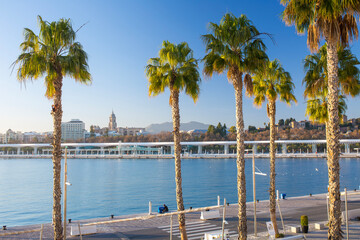 Port of Malaga waterfront promenade Pier One Muelle Uno with tropical palm trees and Mediterranean sea harbor under warm evening sunlight with city architecture in Andalusia Spain. © Sodel Vladyslav