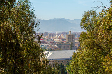 Malaga city skyline with historical architecture and modern buildings viewed through lush green Eucalyptus trees from a high viewpoint in La Malagueta district area under a clear blue sky.
