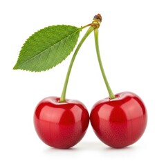 Fresh cherries with vibrant green leaf attached to the stem