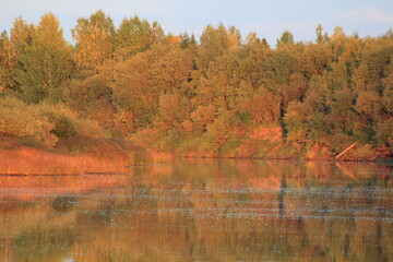 Obraz premium An evening sunset on a river in the forest of northeastern Europe on a sunny summer day