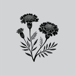 Detailed black ink illustration of marigold flowers with stems and slender pointed leaves high quality