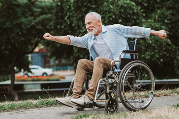 Fototapeta premium cheerful grandpa in wheelchair at park with family love recovery energy and inclusive moment for rehab care