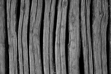 Monochrome wooden board texture with rough surface