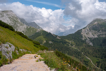 Rustic stepped path leading through lush mountain scenery