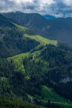 Scenic view of a mountain track amidst dense green trees on a clear day