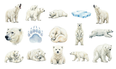 International Polar Bear Day watercolor collection © Ірина Агібалова