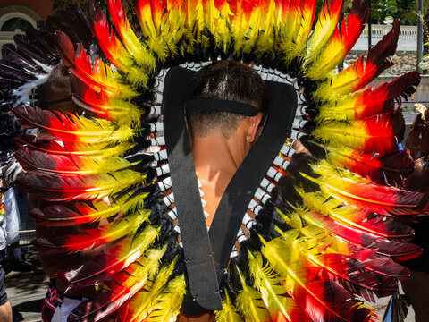 cacique pelas ruas de Santa Teresa &mdash; borogod&oacute; brasileiro