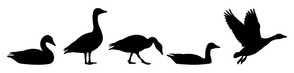 Fototapeta premium Goose silhouette set with flying and standing bird