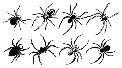 Set of Eight Black Spider Silhouettes in Various Poses