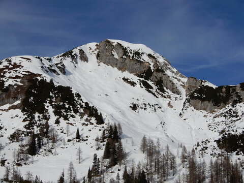 Gro&szlig;er B&auml;renstaffel 2125m (S&uuml;dflanke)