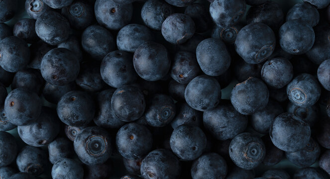 Dense group of organic blueberries, natural fruit background, healthy eating lifestyle, antioxidant rich forest berries
