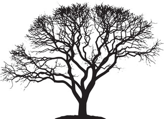 Obraz premium Intricate black silhouette of a large, ancient tree with a complex network of gnarled branches, evoking wisdom and endurance.