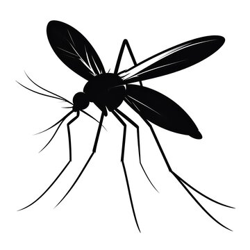 A vector illustration of a mosquito rendered in stark black silhouette against a plain white backdrop