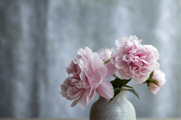 花瓶に生けた芍薬｜Blooming peonies in ceramic vase