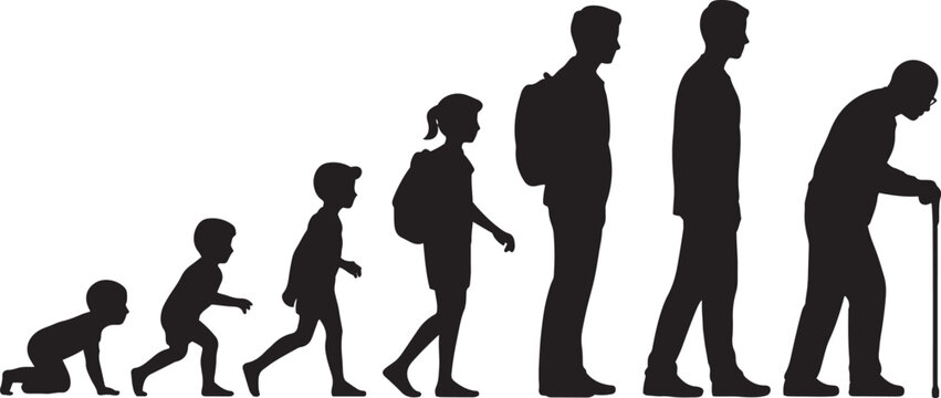 Human evolution stages from ape to elderly man silhouette vector for education biology history and growth progress concepts