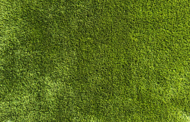 Obraz premium Fresh green grass as background outdoors, top view. Banner design