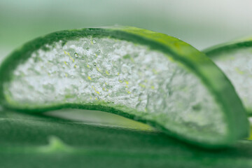 aloe vera leaf macro background green succulent slice closeup showing transparent gel texture and organic fiber details with soft bokeh for cosmetics pharmacy and wellness concept of beauty, medicine