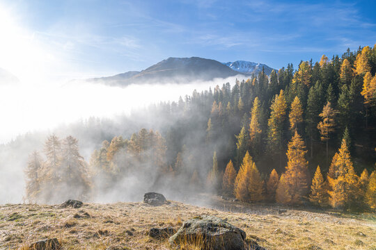 Sonnenaufgang mit Nebel
