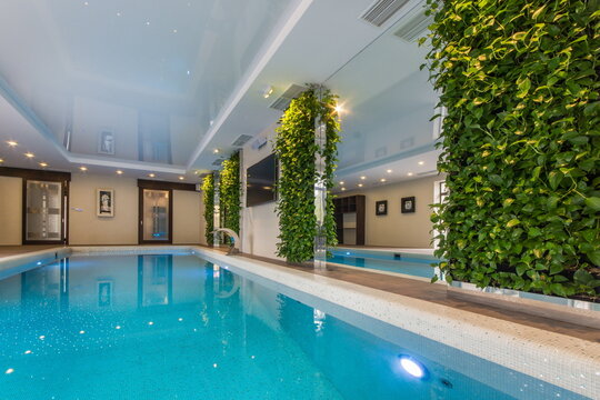 People swim in a clear indoor pool surrounded by green plants. Soft lights illuminate the area, creating a relaxed atmosphere. The water looks inviting and clean