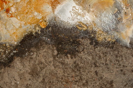 A close-up of greasy wastewater sludge - thick, oily, and murky - with floating debris, reflecting dull light in a sewage treatment setting. Environmental hazard, industrial waste.