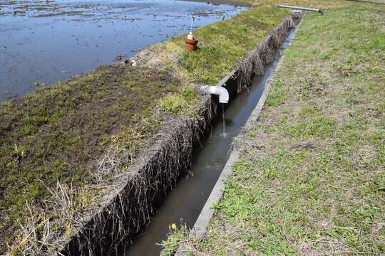 農業用水路兼排水路 茨城県南部