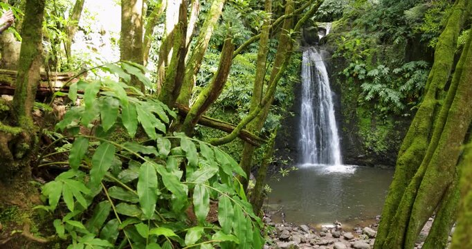 Salto do Prego waterfall is surrounded by lush green trees and a small pond