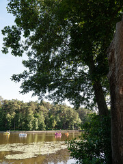 Lake Tikhoe in Svetlogorsk at summer day, place for walking