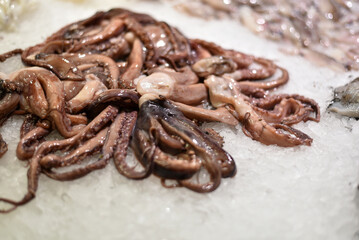 Obraz premium Seafood