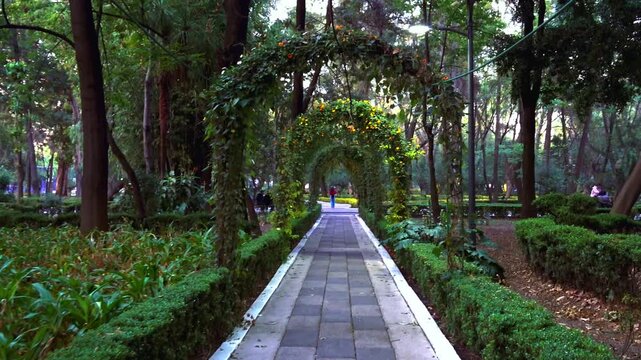 Strolling through Jardin Ramon Lopez Velarde in Mexico City during the evening hours