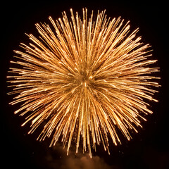 Obraz premium Golden firework explosion against a black night sky