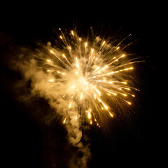 Obraz premium Brilliant Golden Firework Burst Illuminating Night Sky