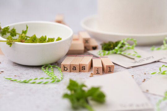 Homemade Seed Packets with Herbs and Seeds
