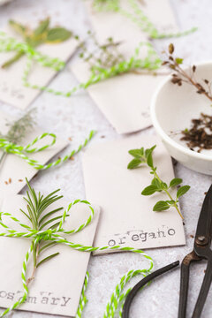 Homemade Seed Packets with Herbs and Seeds