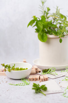 Homemade Seed Packets with Herbs and Seeds