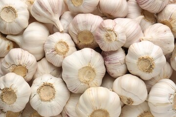 Fresh garlic bulbs as background, top view