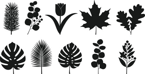 Fototapeta premium Collection of various leaf and plant silhouettes