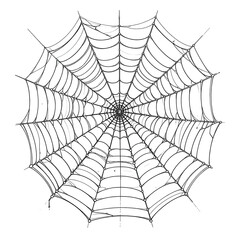 Obraz premium Stylized spiderweb on a black background; circular pattern with intricate strands