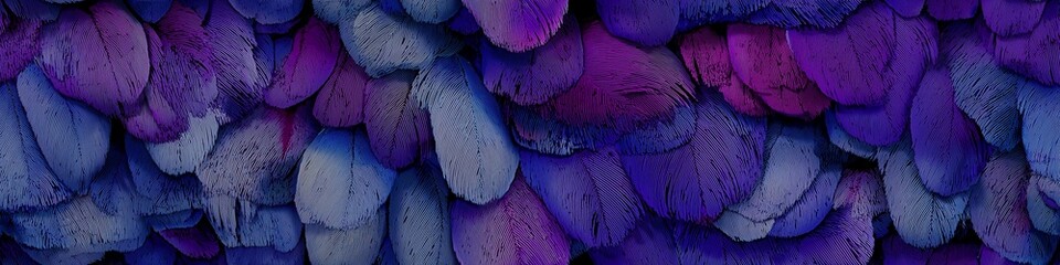 Purple and blue feathers creating abstract texture background. Overlapping purple and blue feathers creating a soft, natural, and rich textural pattern