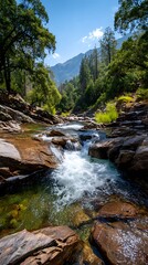 Fototapeta premium River Cascading Through Rocks, Lush Trees, Mountains Backdrop