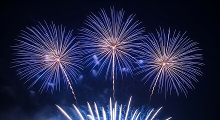 Obraz premium Blue Fireworks Exploding in Night Sky - Celebration Festival Sparkle.