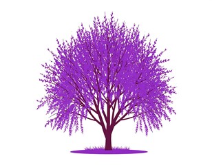 A vibrant purple tree with delicate leaves and a sturdy trunk, set against a clean white backdrop, with a small patch of grass below