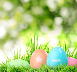 Fototapeta premium Easter eggs in green grass against blurred background
