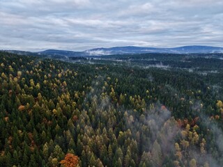 mountaintop forest obscured by drifting fog, dense fog over rolling treetops and scenic valleys landscape © Nataliia