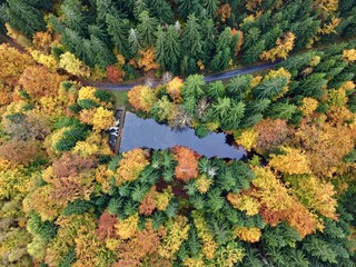 photographic portrayal of autumn treetops reflecting in serene lake with striking symmetry © Nataliia