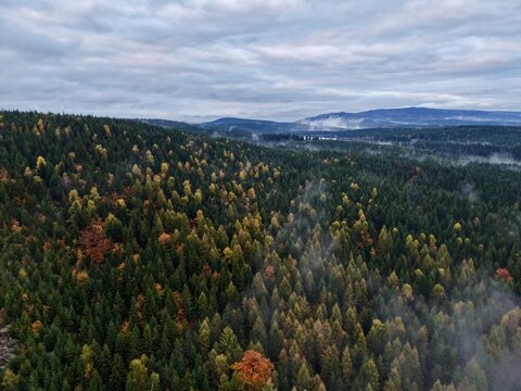 autumn landscape with misty heights, serene forested hills enveloped in autumn fog beneath overcast skies
