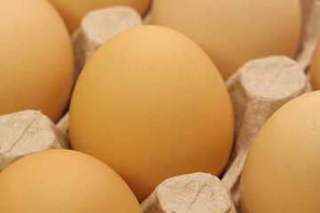 Fresh yellow chicken eggs in tray