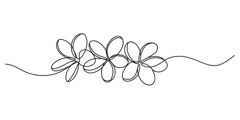 Elegant single line art illustration featuring three frangipani blossoms in a horizontal row Vector, illustration