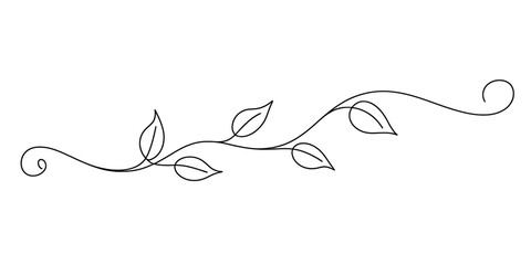 A simple black line drawing of a small vine with leaves and decorative curls on a white background Vector, illustration © Continues One Line D