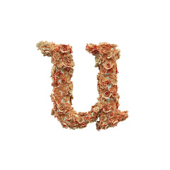 3D Ornamental Floral Lowercase Letter U Covered with Peach and Cream Flowers on Transparent Background