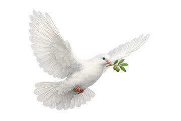 Obraz premium White dove flying with olive branch in mouth on transparent background, symbolizing peace, hope, and freedom